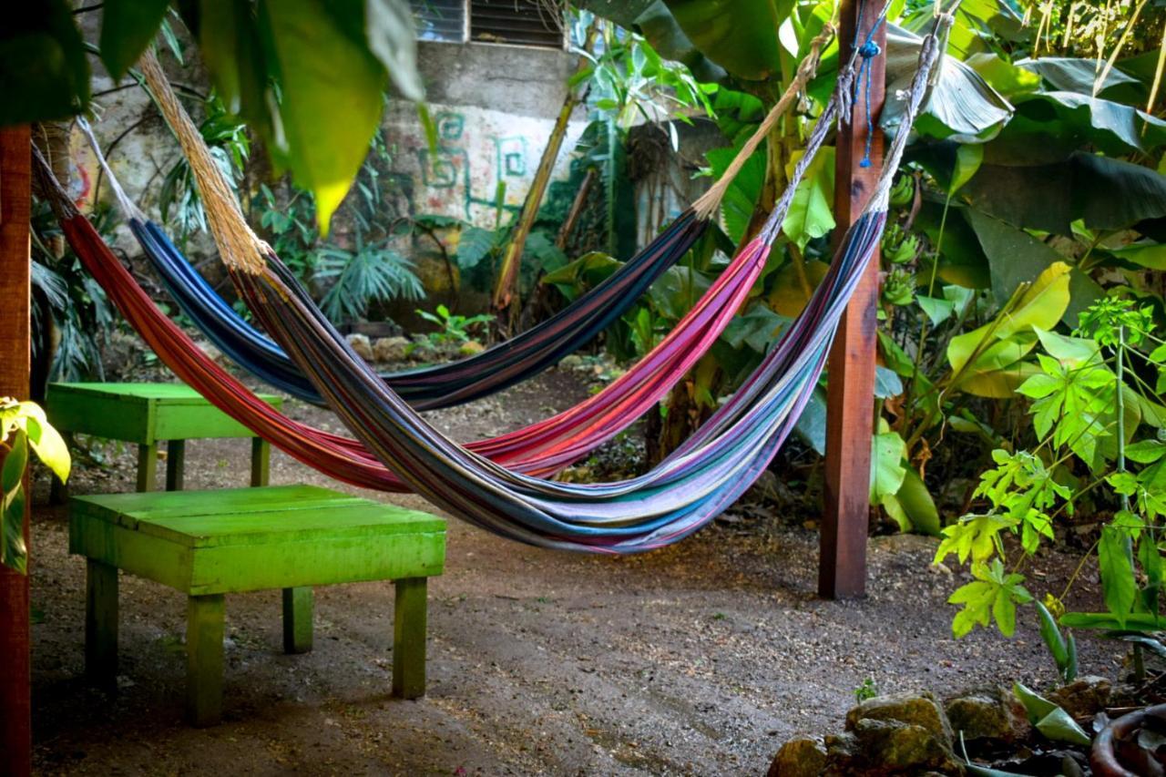 Ciao Cacao Hostel & Vegan Cafe Flores Extérieur photo