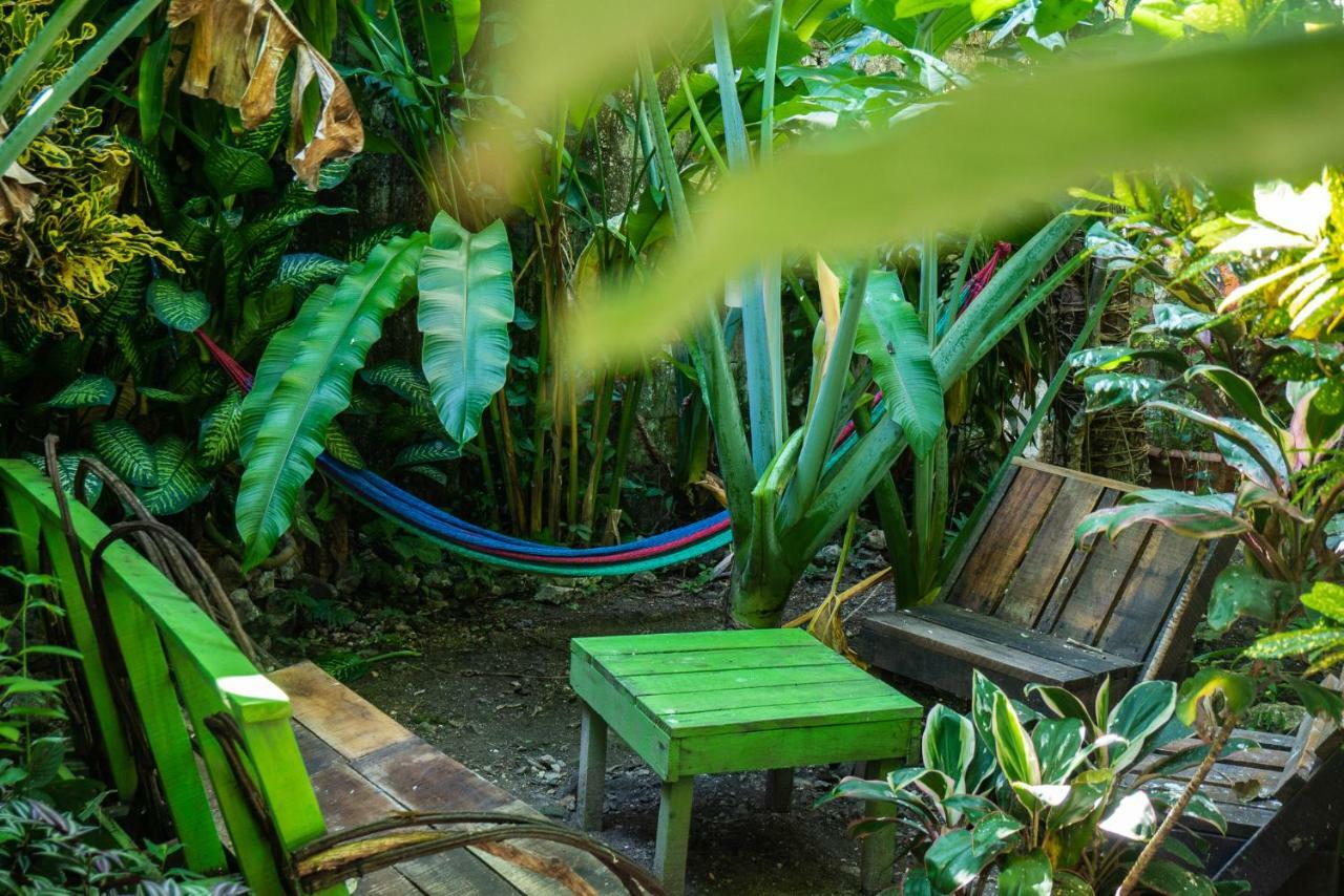 Ciao Cacao Hostel & Vegan Cafe Flores Extérieur photo