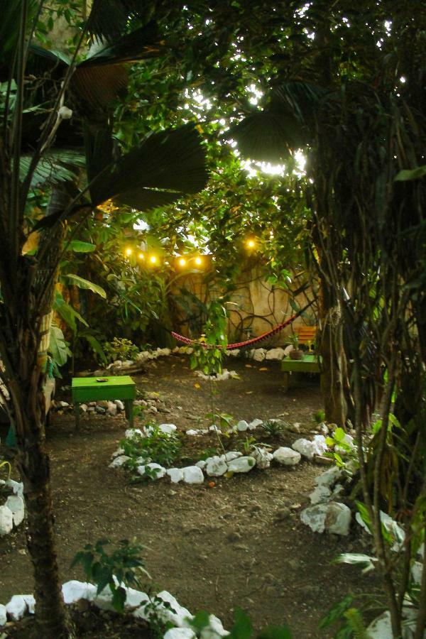 Ciao Cacao Hostel & Vegan Cafe Flores Extérieur photo