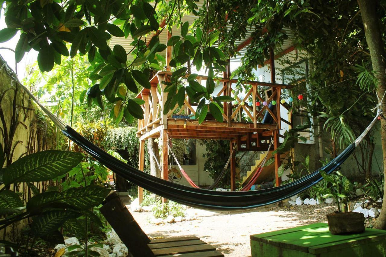 Ciao Cacao Hostel & Vegan Cafe Flores Extérieur photo