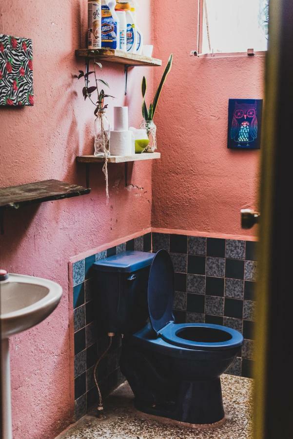 Ciao Cacao Hostel & Vegan Cafe Flores Extérieur photo